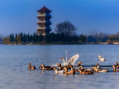 安徽颍州西湖，是与杭州西湖齐名的风景名胜